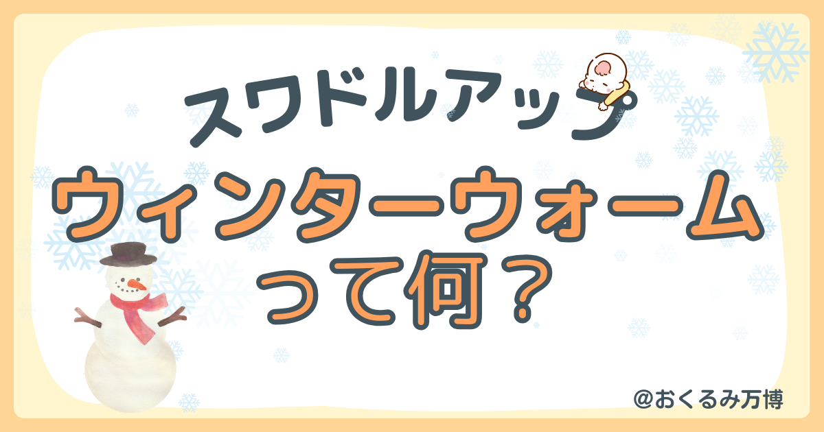 スワドルアップの冬用って何？【ウィンターウォーム】 | おくるみ万博